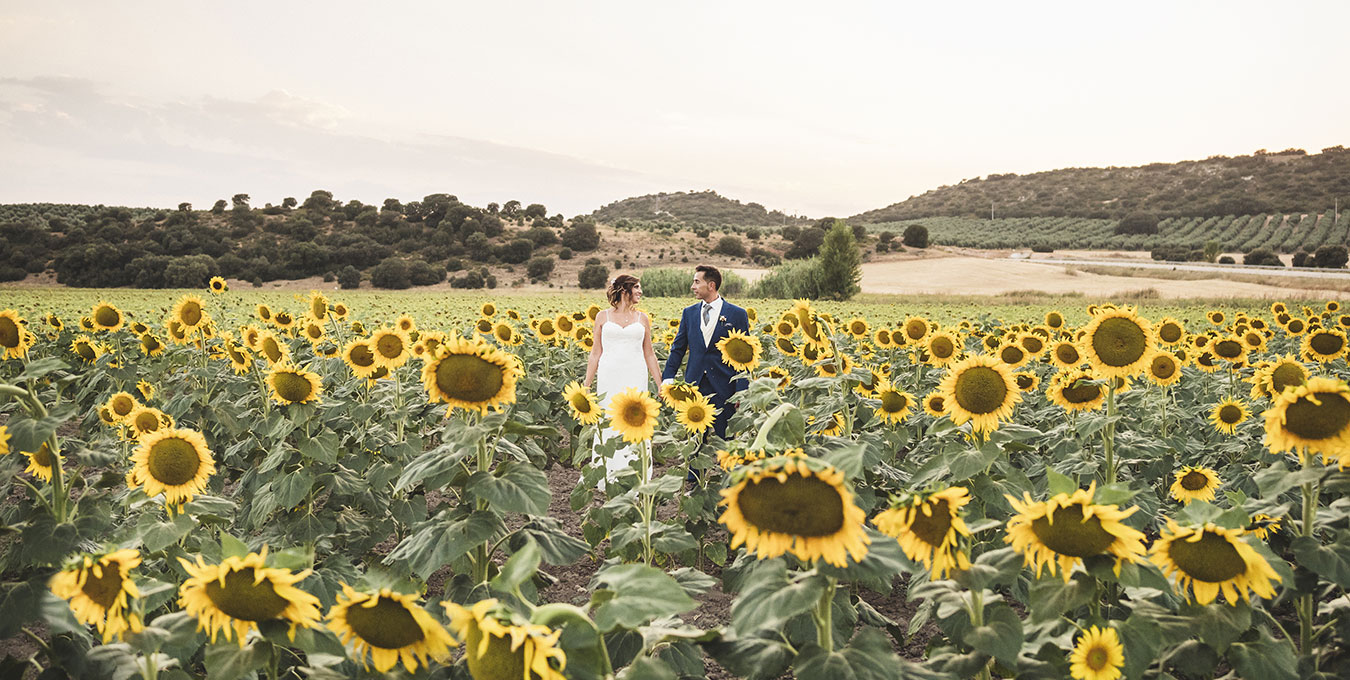 Wedding Photographer Spain